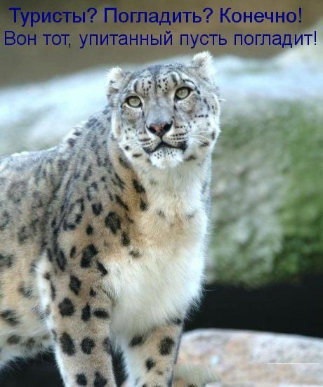 Картинки всяческие 10.01.2022