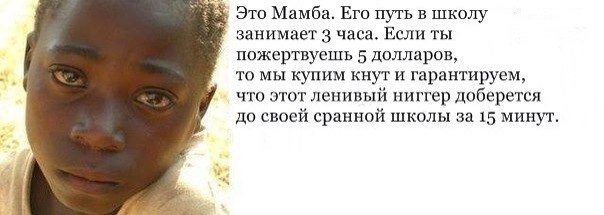 Немного картинок