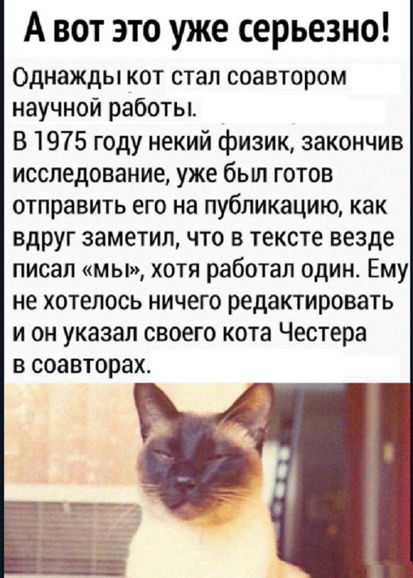 Картинки с надписями и всякие жизненные фразы