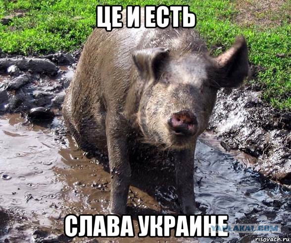 Зачем женщины забывают свое белье у парней дома?