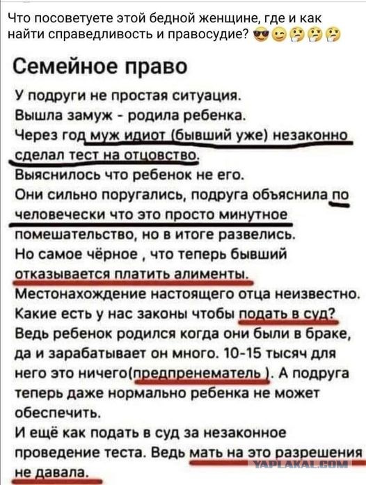 Весёлый полтишок 08.09.22