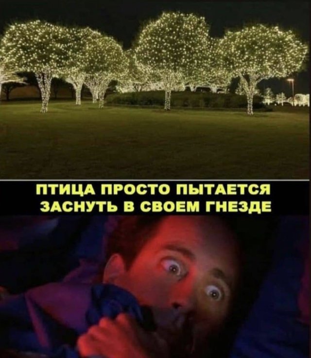 Так себе картинки 10.09.22