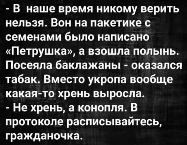 Так себе картинки 26.10.22