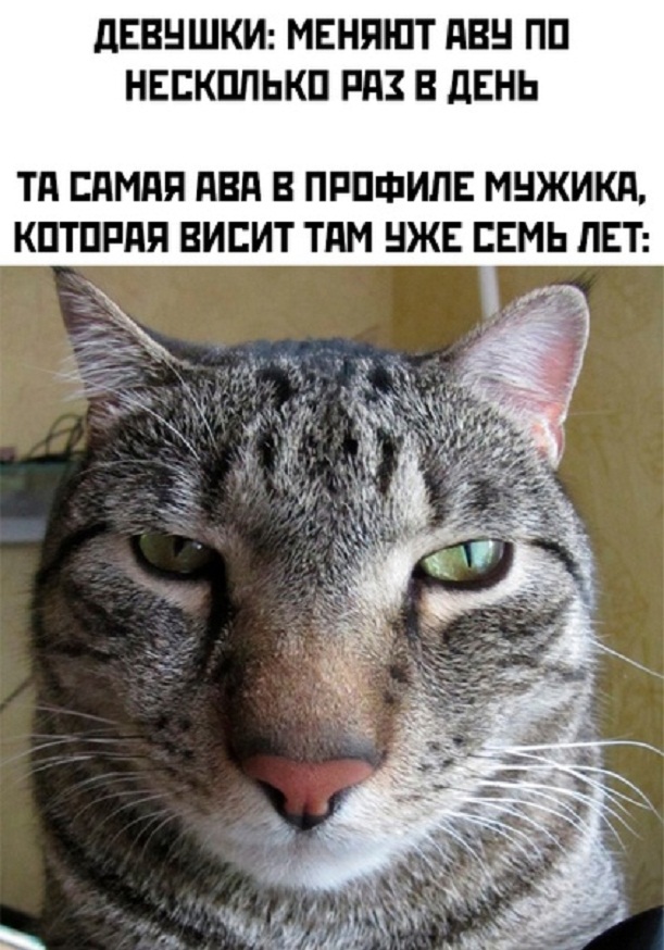 Немного картинок для настроения