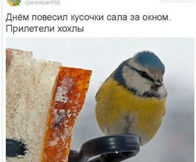 Фильм «Навальный» номинирован на «Оскар»