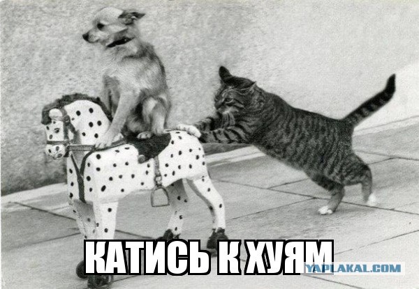 Друзья! Я вернулся с новой песней! Премьера! (Пашкетт)