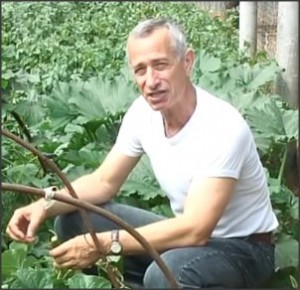 Кто любит огурцы и помидоры?