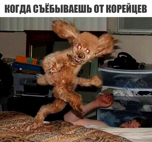 Завершаем рабочую неделю под бояны
