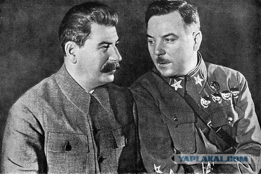 Адик вышел позагорать