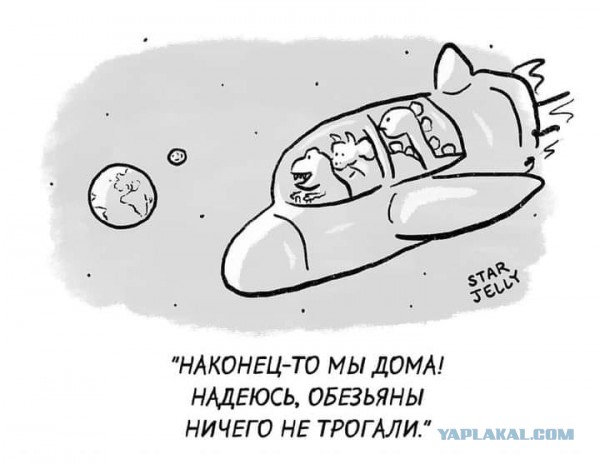 Учёные утверждают. Теперь мы достоверно знаем. Как, когда и где, появились первые люди на Земле.