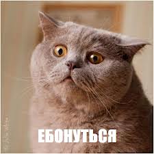 Свежие фотки Кристины Рэй