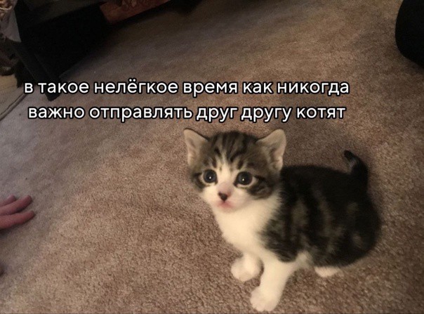 Всего понемногу. От 31.05.2024