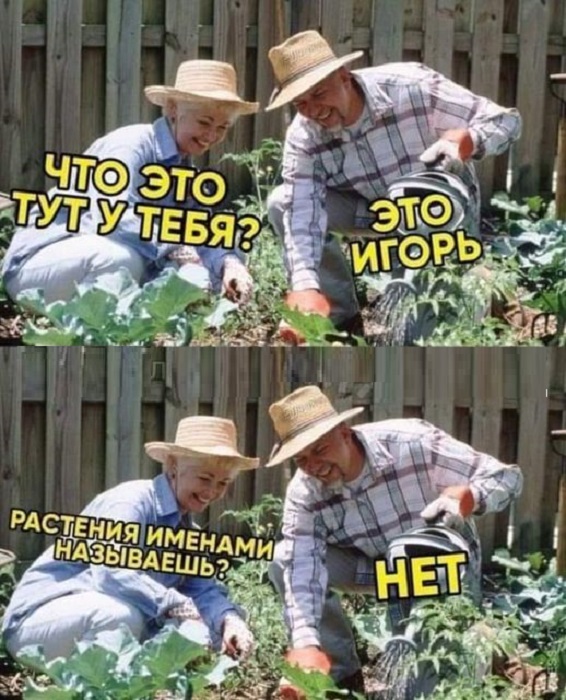 Картинки разные с надписями и без