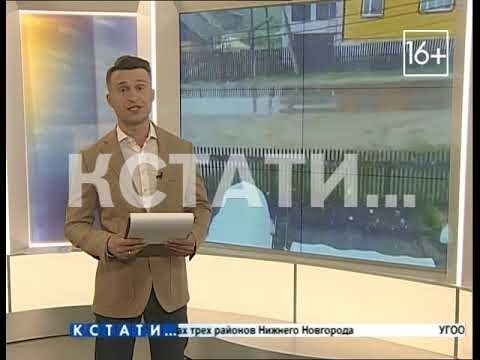 В Нижнем Новгороде родители подрались с детским тренером во время футбольного матча: драку спровоцировала мать одного из игроков
