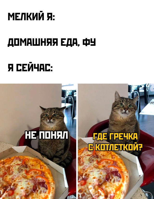 Весёлый полтишок 29.12.24