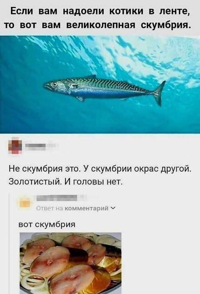 35 картинок от соседа Петросяна