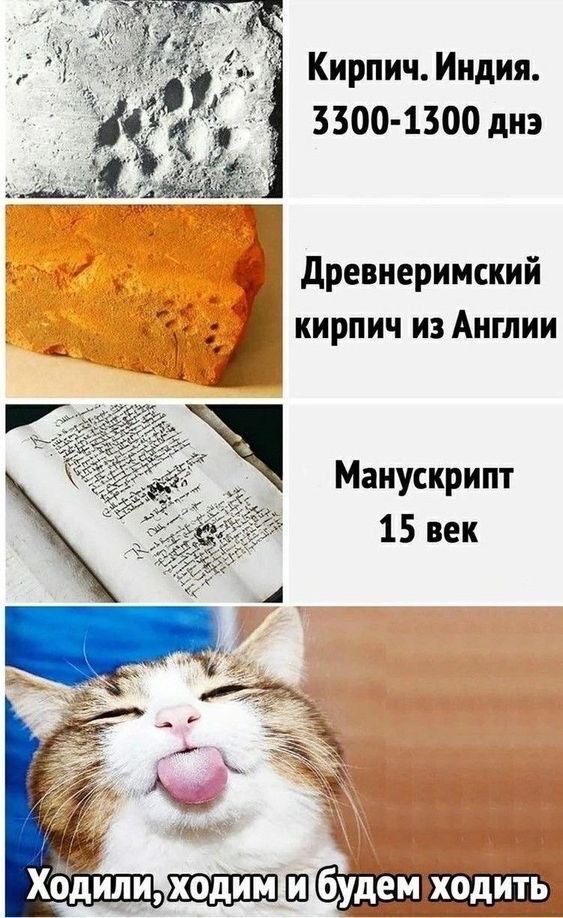 Подпись мастера