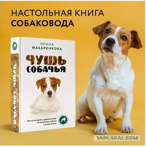 До 3 лет хозяину собаки за смерть человека