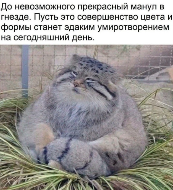 Так себе картинки 19.05.25