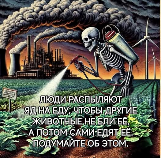 Картинки для деградации 84 (разной степени свежести)