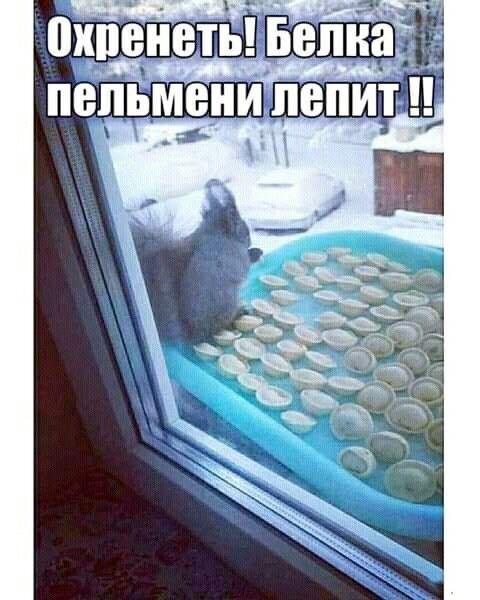 Воскресные картинки