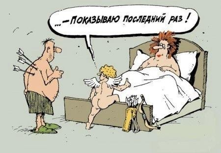 Карикатуры. Просто карикатуры. 18+