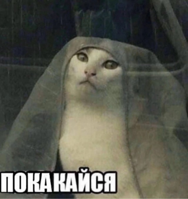 Картинки для деградации 120 (разной степени свежести)