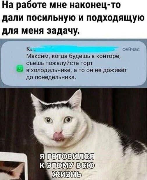 К котовторнику: подборка картинок-баянов с котиками и про котиков. Выпуск 32.