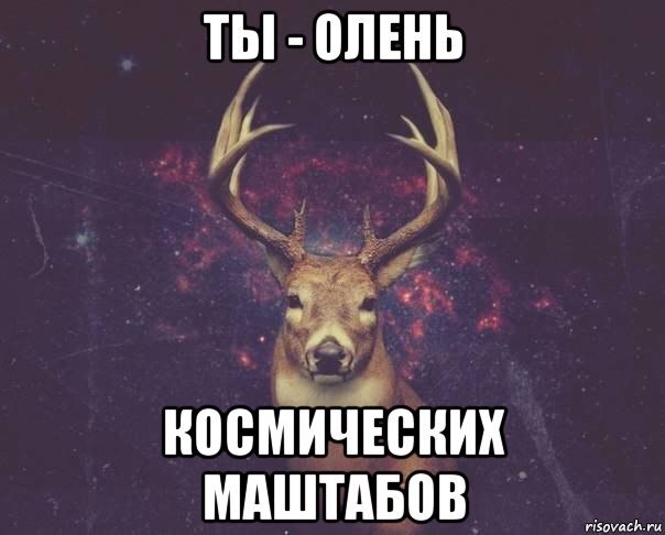 Не оплатил кофе двум "герцогиням" - свинство!