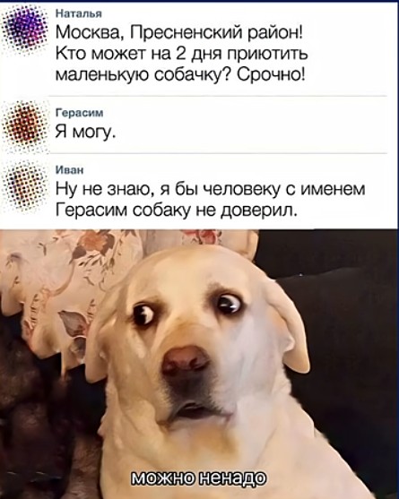 Картинки для деградации 199 (разной степени свежести)