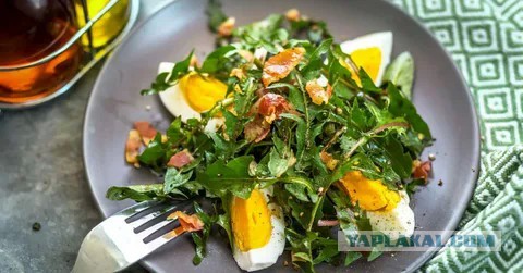 Сорняки