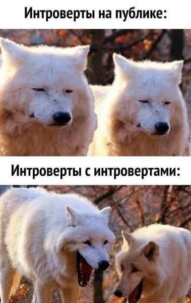 Картинки для деградации 263 (разной степени свежести)