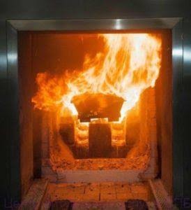 Рыбам, Львам и Ракам необходимо много отдыхать, чтобы стать богатыми