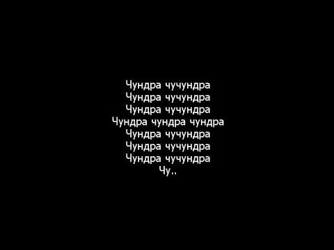 Кто такая Чучундра? Оказалось, это реальный зверёк