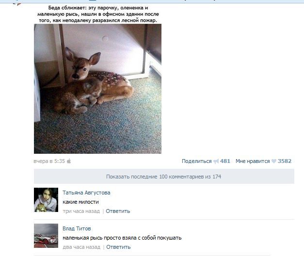 Приколы и маразмы