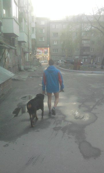 Картинки