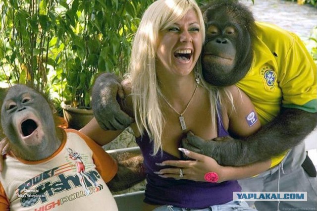 Смешные картинки и комментарии