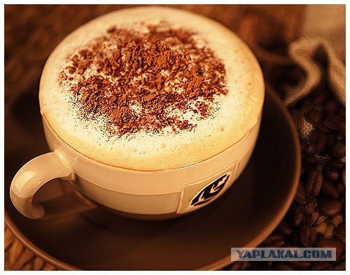 Плюсомет со шпалометом