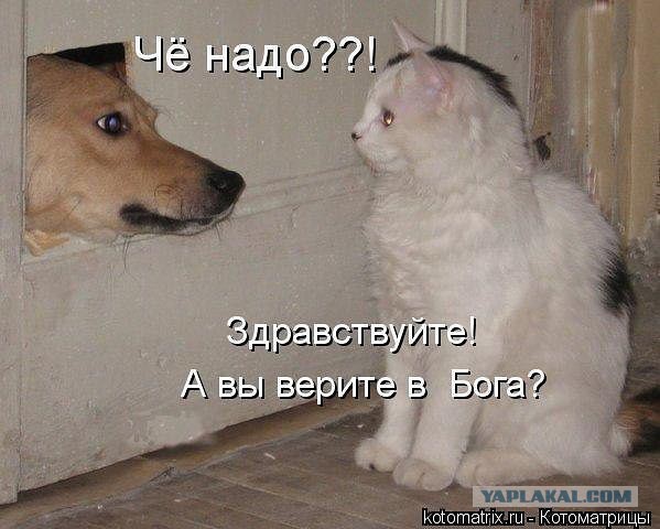Демотиваторов пост, добавляйте свои