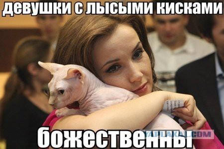 Немного позитива на пятницу