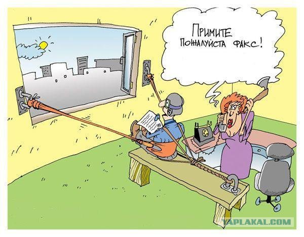 Свежие картинки из сети