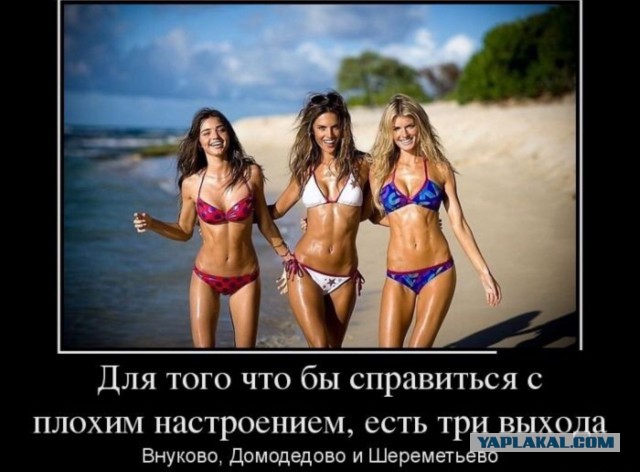 Горячие демотиваторы