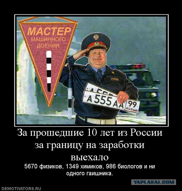 Прикольные картинки.