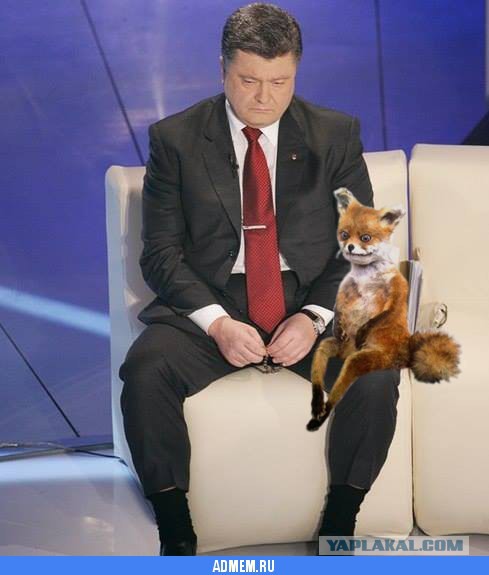 Порошенко и паспорта