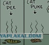 Зарядка