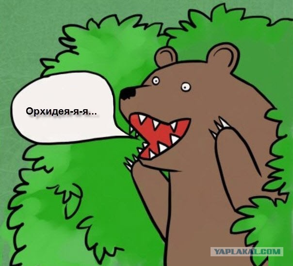 Познакомлюсь с успешным, состоятельным и уверенным