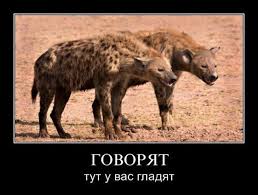 Боевики в Сирии сдают оружие