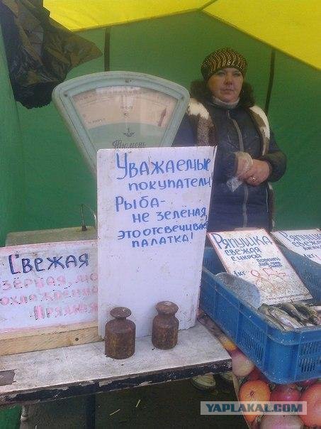 Картинки и демотиваторы