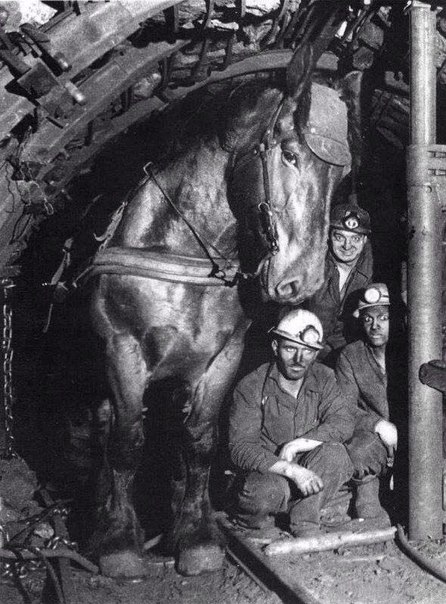 Подборка редких фотографий со всего мира