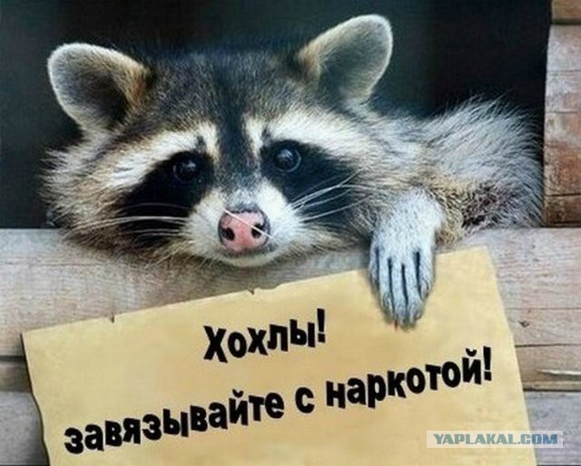 Наркоманский юмор